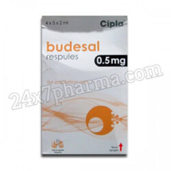 Budesal 0.5mg Respule 5x2ml
