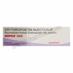 WEPOX 4000 Injection